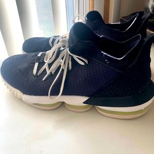 Lebron 16s low